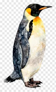 King penguin standing on one foot in watercolor style.