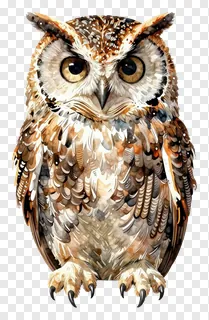 An illustrated owl with large eyes and feathered texture.