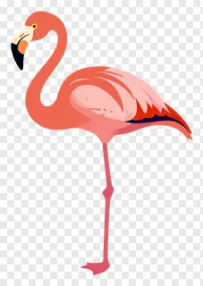 A pink flamingo standing upright.