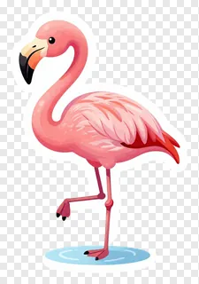 A pink flamingo wading in shallow water.