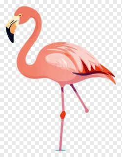 A pink flamingo standing in shallow water.