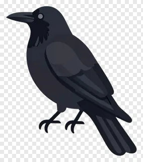 A black raven perched on a branch.