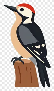 Illustration of a retro-style woodpecker sitting on bark.