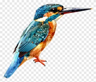 A colorful kingfisher bird with speckled blue feathers and orange underparts.