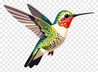 A hummingbird with intricate patterns hovering in flight.