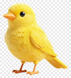 A yellow bird with orange beak and feet.