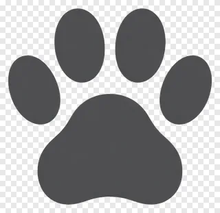 Dark gray paw print icon