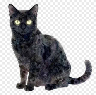 A black cat with a cosmic pattern on its fur and glowing eyes.