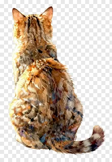 A cat sitting with its back to the viewer, illuminated by a sunbeam.