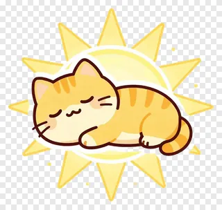 A sleeping cat curled up inside a sun.