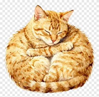 A sleeping orange tabby kitten curled up in a watercolor illustration.