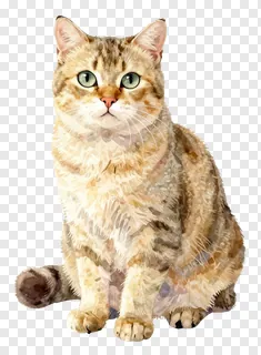 A watercolor-style tabby cat sitting and looking forward.