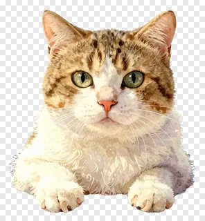 A tabby cat with green eyes resting its paws forward.