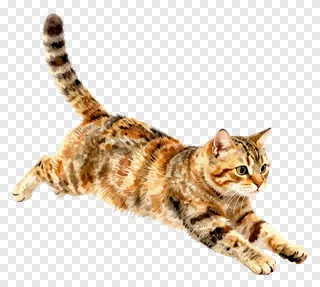 A tabby cat stretching in midair with striped fur.