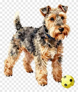 Airedale terrier with a yellow ball