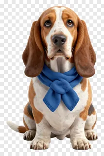 A basset hound wearing a blue scarf.