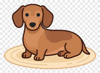 A brown dachshund curled on a rug.