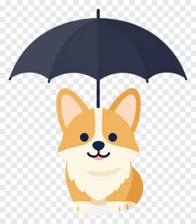 A corgi dog holding a tiny umbrella.