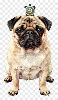 A pug dog sitting and wearing a small hat featuring the bitcoin logo.