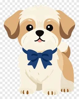 A Shih Tzu puppy wearing a blue bow.