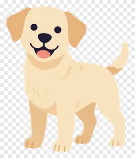A smiling golden Labrador dog with a curled tail.