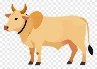 Decorated cow with gold bell around neck.