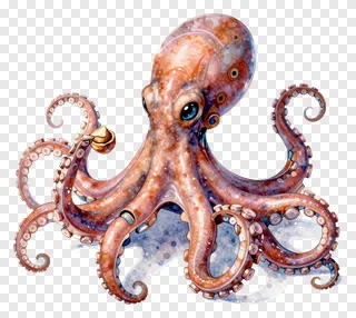 An illustrated octopus holding a nut.