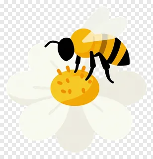 A cartoon bee on a flower collecting nectar.