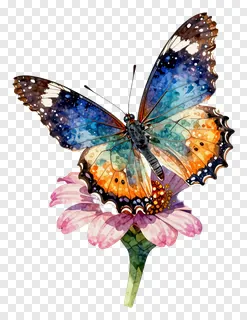 A colorful butterfly resting on a pink flower.