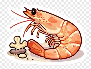 A cartoon shrimp scuttling over coral rubble.