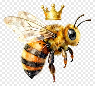 A bee wearing a golden crown.