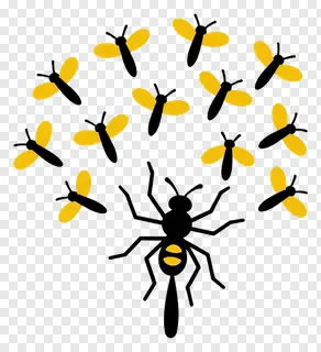 Group of flying fireflies with bright yellow lights.