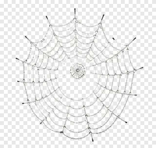 Spider web with glistening dewdrops.