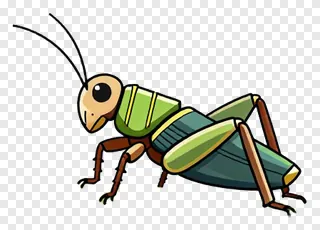 Cartoon green cricket illustration