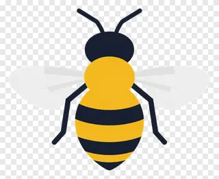 A honey bee with yellow and black stripes.