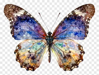 A butterfly with open wings in watercolor style.