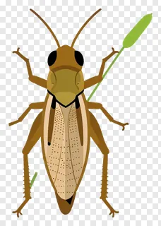 Retro-style grasshopper with green wings on a reed.