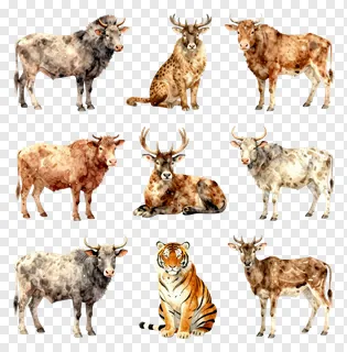 Nine illustrated wild animals in watercolor style.