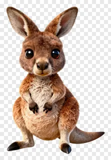 A baby kangaroo peeking out with big eyes.