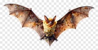 A cartoon bat with golden fur and patterned wings flying with spread wings.