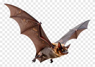 A bat flying with patterned wings.