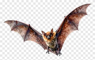 A bat with mottled brown wings flying.