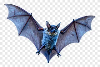 A blue-furred bat with patterned wings flying.