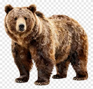 A brown bear standing upright in watercolor style.