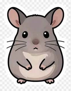 Cartoon chinchilla with perked-up ears