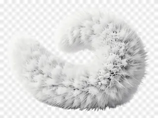 A curled fox tail dusted with snow.