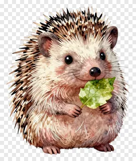 A cute hedgehog holding a green leaf.