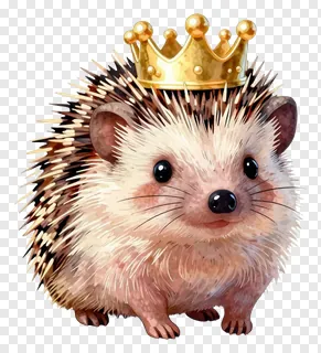 A cute hedgehog wearing a golden crown.
