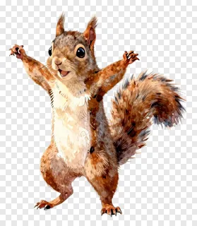 A happy squirrel dancing with arms raised.