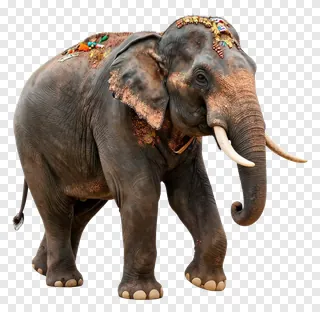 An elephant decorated for a festival with colorful ornaments.